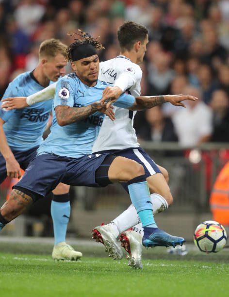 可以极大地 可以极大地