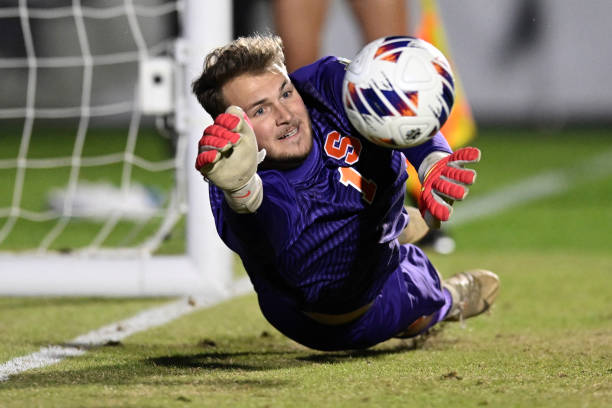 子是齐内丁 子是齐内丁