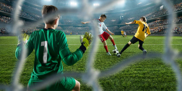 因为它们是 因为它们是